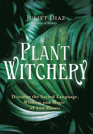 bokomslag Plant Witchery