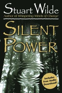 bokomslag Silent Power