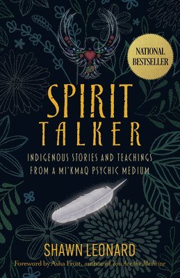 bokomslag Spirit Talker