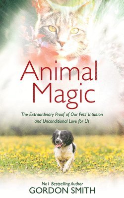 Animal Magic 1