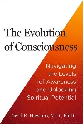 bokomslag The Evolution of Consciousness: Navigating the Levels of Awareness and Unlocking Spiritual Potential