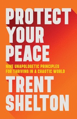 bokomslag Protect Your Peace: Nine Unapologetic Principles for Thriving in a Chaotic World