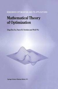 bokomslag Mathematical Theory of Optimization