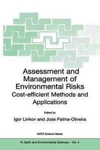bokomslag Assessment and Management of Environmental Risks