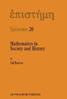 bokomslag Mathematics in Society and History