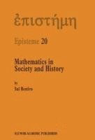 bokomslag Mathematics in Society and History