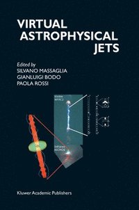 bokomslag Virtual Astrophysical Jets