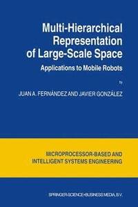 bokomslag Multi-Hierarchical Representation of Large-Scale Space