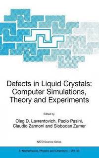 bokomslag Defects in Liquid Crystals: Computer Simulations, Theory and Experiments