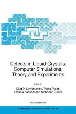 bokomslag Defects in Liquid Crystals: Computer Simulations, Theory and Experiments