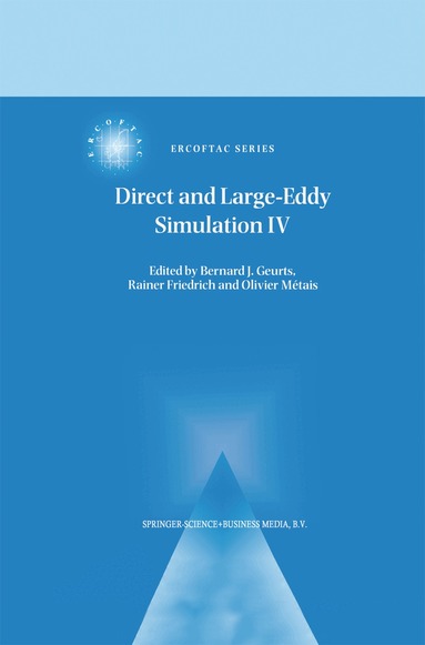Bernard Geurts, Rainer Friedrich, Olivier Métais - Direct and Large-Eddy Simulation IV, Inbunden