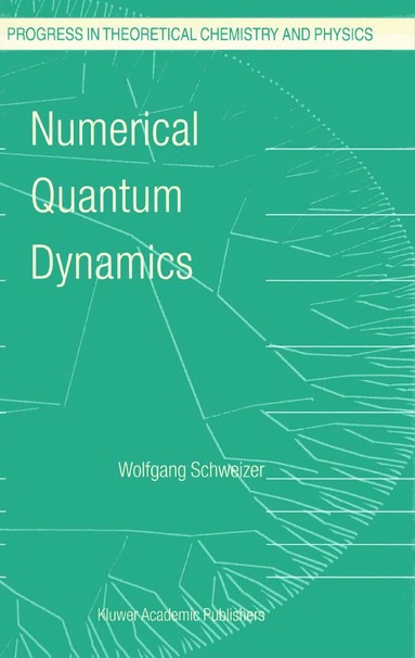 W. Schweizer - Numerical Quantum Dynamics, Inbunden