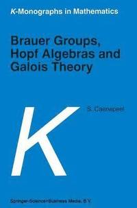 bokomslag Brauer Groups, Hopf Algebras and Galois Theory