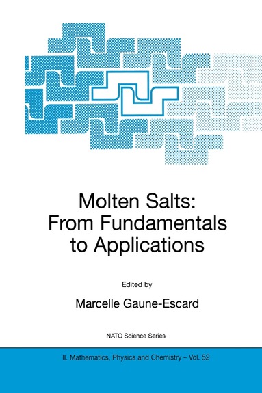 Marcelle Gaune-Escard - Molten Salts, Inbunden