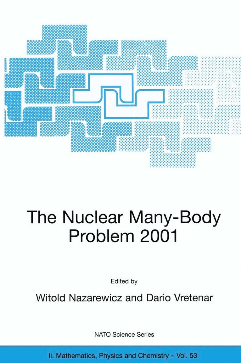 Witold Nazarewicz, Dario Vretenar - Nuclear Many-Body Problem 2001, Häftad