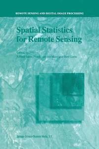 bokomslag Spatial Statistics for Remote Sensing