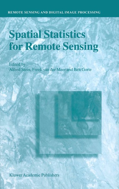 A. Stein, Freek D. van der Meer, Ben Gorte - Spatial Statistics for Remote Sensing, Häftad