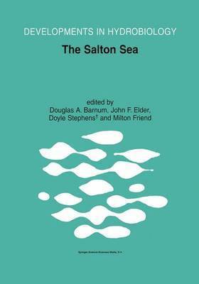 The Salton Sea 1