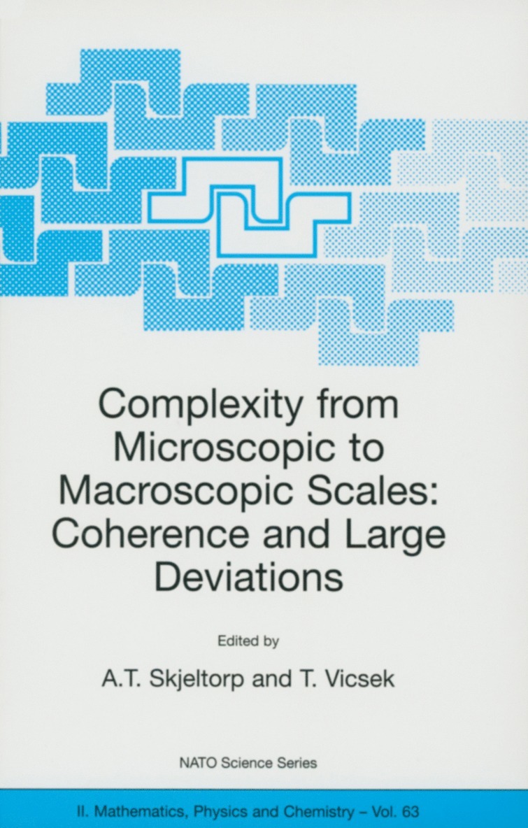 A.T. Skjeltorp, Tamas Vicsek, A. T. Skjeltorp, Arne Skjeltorp - Complexity from Microscopic to Macroscopic Scales: Coherence and Large Deviations, Häftad