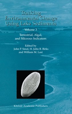 bokomslag Tracking Environmental Change Using Lake Sediments