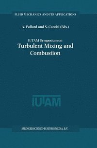 bokomslag IUTAM Symposium on Turbulent Mixing and Combustion