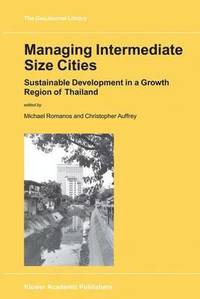 bokomslag Managing Intermediate Size Cities