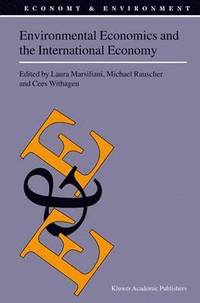 bokomslag Environmental Economics and the International Economy