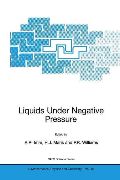 bokomslag Liquids Under Negative Pressure