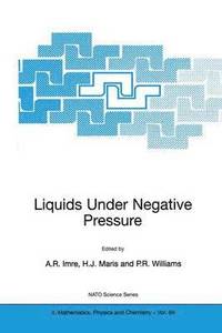 bokomslag Liquids Under Negative Pressure