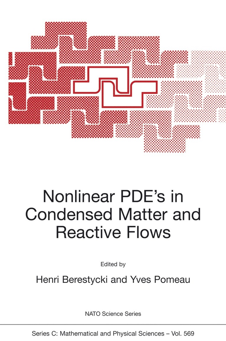 Henri Berestycki, Yves Pomeau - Nonlinear PDE’s in Condensed Matter and Reactive Flows, Inbunden