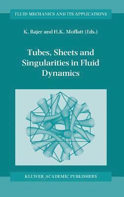 Tubes, Sheets and Singularities in Fluid Dynamics 1