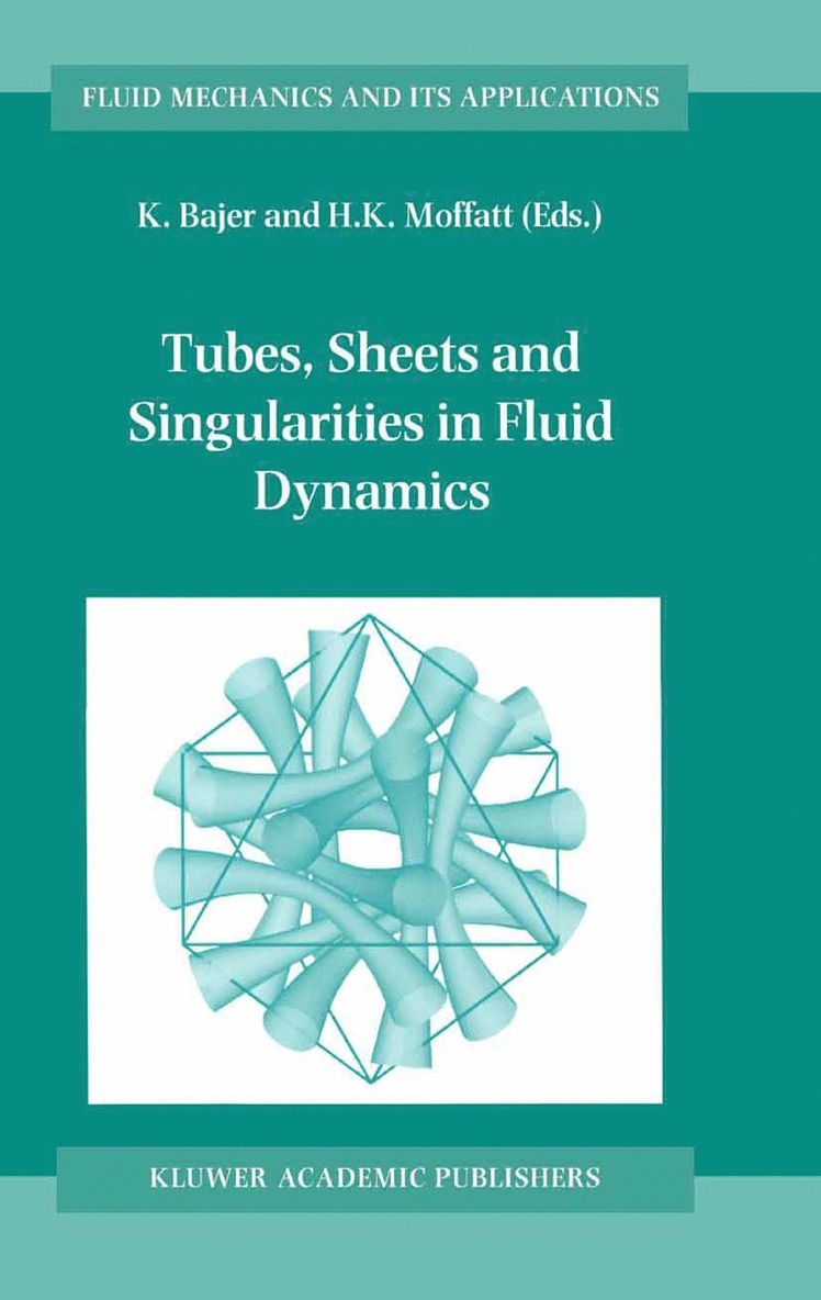 Tubes, Sheets and Singularities in Fluid Dynamics 1