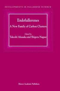bokomslag Endofullerenes