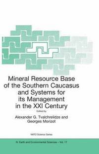 bokomslag Mineral Resource Base of the Southern Caucasus and Systems for its Management in the XXI Century