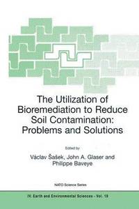 bokomslag The Utilization of Bioremediation to Reduce Soil Contamination: Problems and Solutions