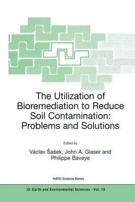 The Utilization of Bioremediation to Reduce Soil Contamination: Problems and Solutions 1