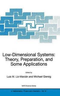 bokomslag Low-Dimensional Systems: Theory, Preparation, and Some Applications