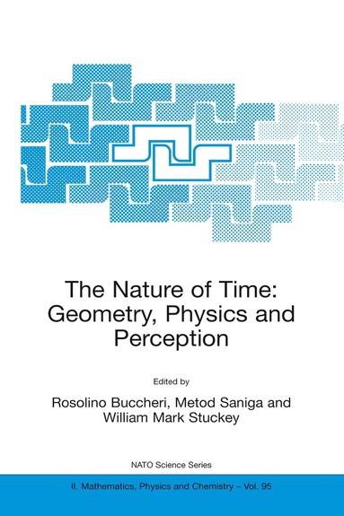 R. Buccheri, Metod Saniga, William Mark Stuckey - Nature of Time: Geometry, Physics and Perception, Inbunden