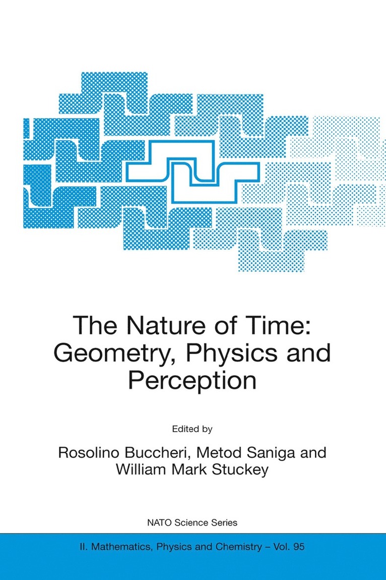R. Buccheri, Metod Saniga, William Mark Stuckey - Nature of Time: Geometry, Physics and Perception, Häftad