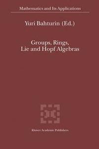 bokomslag Groups, Rings, Lie and Hopf Algebras