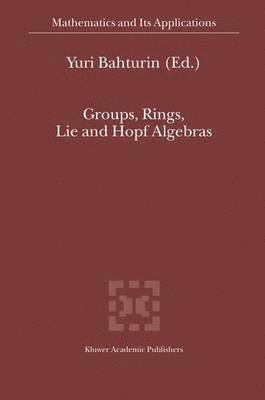 bokomslag Groups, Rings, Lie and Hopf Algebras