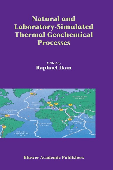 Raphael Ikan - Natural and Laboratory Simulated Thermal Geochemical Processes, Inbunden