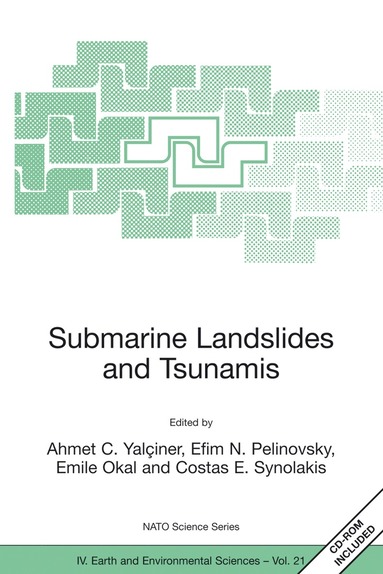 bokomslag Submarine Landslides and Tsunamis