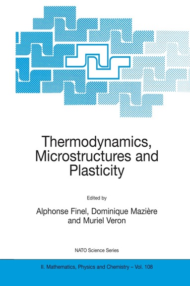 Alphonse Finel, Dominique Mazière, Muriel Veron - Thermodynamics, Microstructures and Plasticity, Häftad