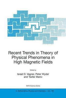 Israel D. Vagner, Peter Wyder, Tsofar Maniv, Israel D Vagner - Recent Trends in Theory of Physical Phenomena in High Magnetic Fields, Inbunden