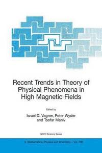 bokomslag Recent Trends in Theory of Physical Phenomena in High Magnetic Fields