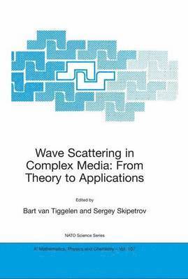 Bart A. van Tiggelen, Sergey E. Skipetrov, Bart A. Van Tiggelen, Serguei Skipetrov, Bart A. van Tiggelen - Wave Scattering in Complex Media: From Theory to Applications, Häftad