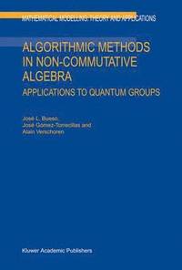 bokomslag Algorithmic Methods in Non-Commutative Algebra