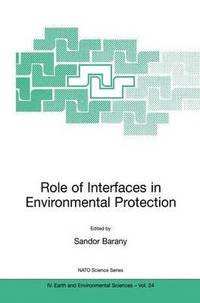 bokomslag Role of Interfaces in Environmental Protection