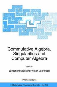 bokomslag Commutative Algebra, Singularities and Computer Algebra